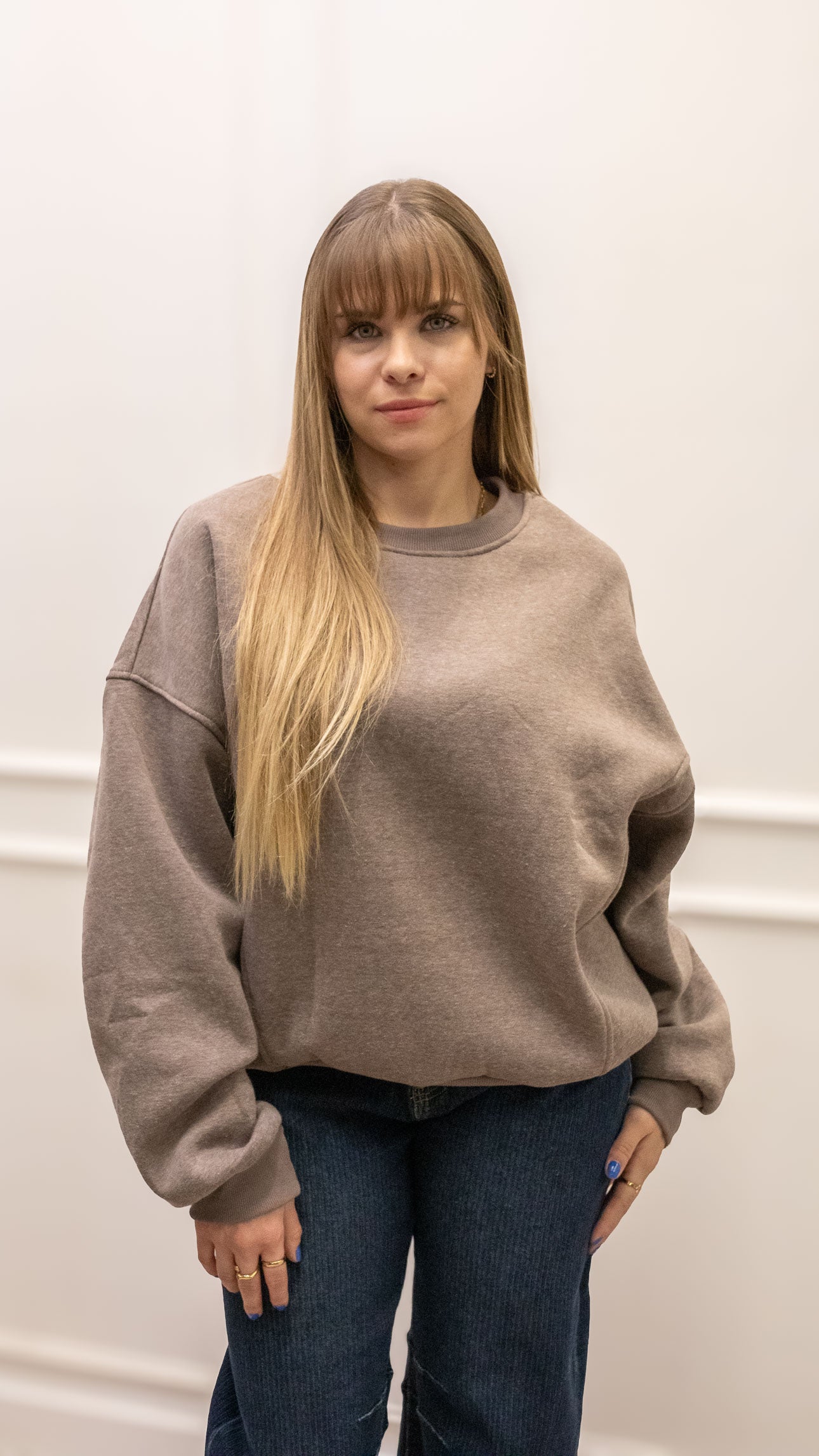 FAIRA CREW NECK SWEATER | TAUPE